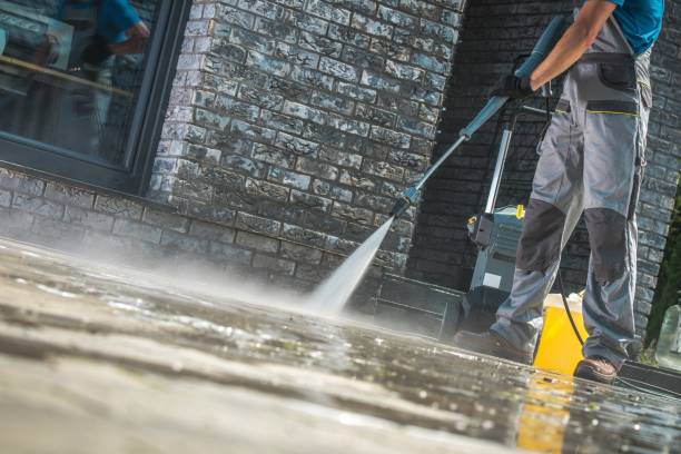 Best Dumpster Area Cleaning  in Shelby, MI