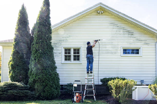 Best Graffiti Removal  in Shelby, MI